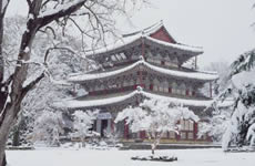 Winter Sonata in Korea 5D4N
